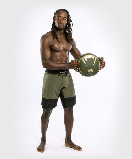 Venum Pro Boxing Mini Round Punch Shield