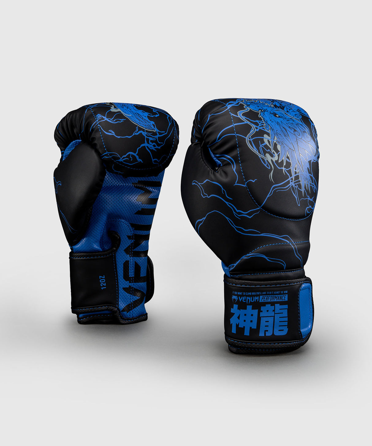 Venum Thunder Dragon Black/Royal Blue rokavice