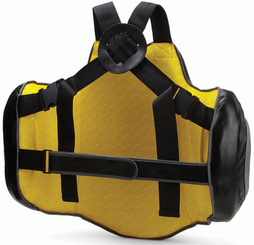 Everlast Black trenerski oklep fokuser