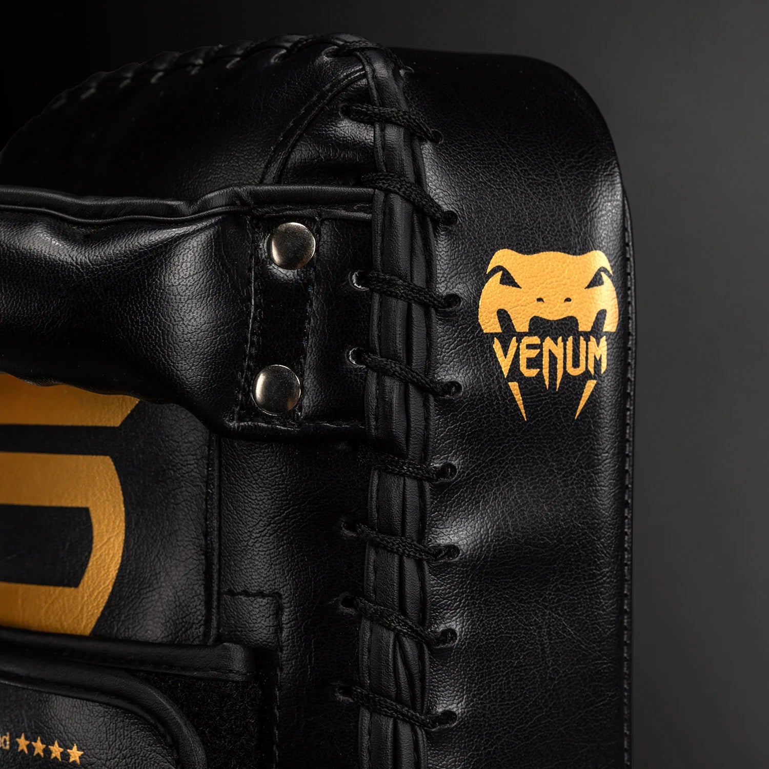 Venum Giant Black/Gold makivare