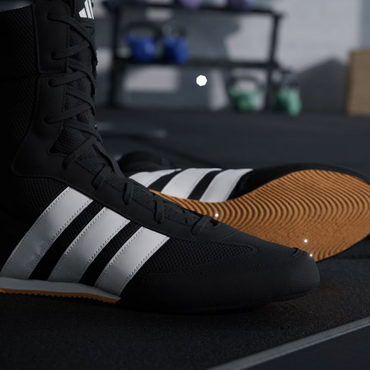 Adidas Box Hog Classic Black boxing shoes