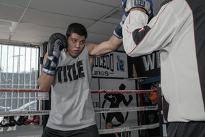 Title Platinum Perilous Black/Silver rokavice za boks