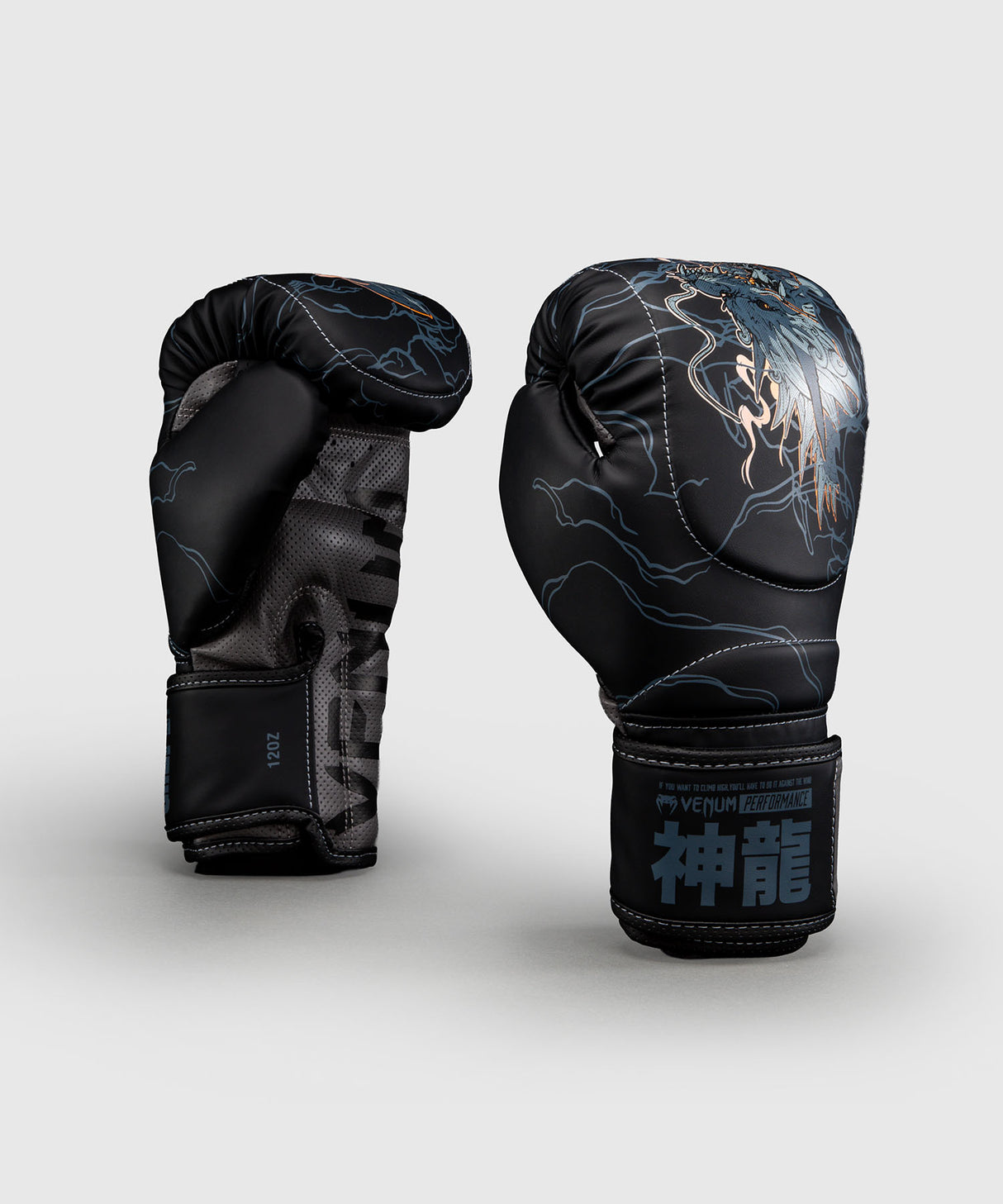 Venum Thunder Dragon Black/Grey/Copper rokavice