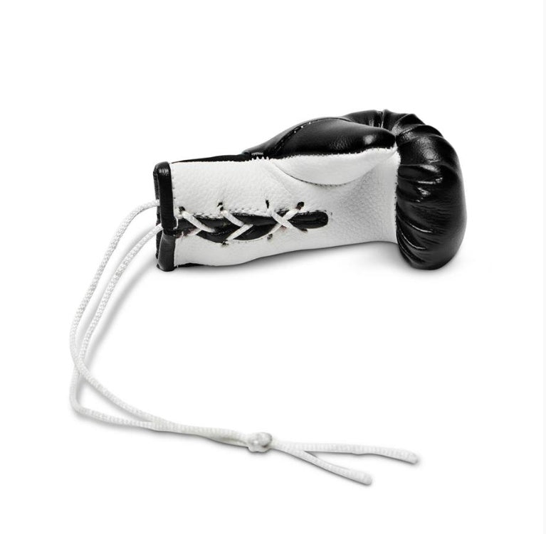 Leone 1947 Black obesek za avto