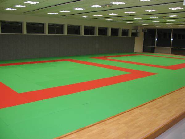 MMA blazine Agglorex