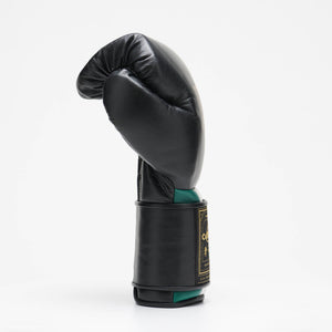 Leone 1947 GNO03V Orlando Tricolore Profi rokavice