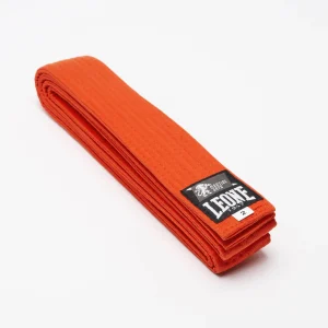 Leone 1947 Karate Judo Orange Pas